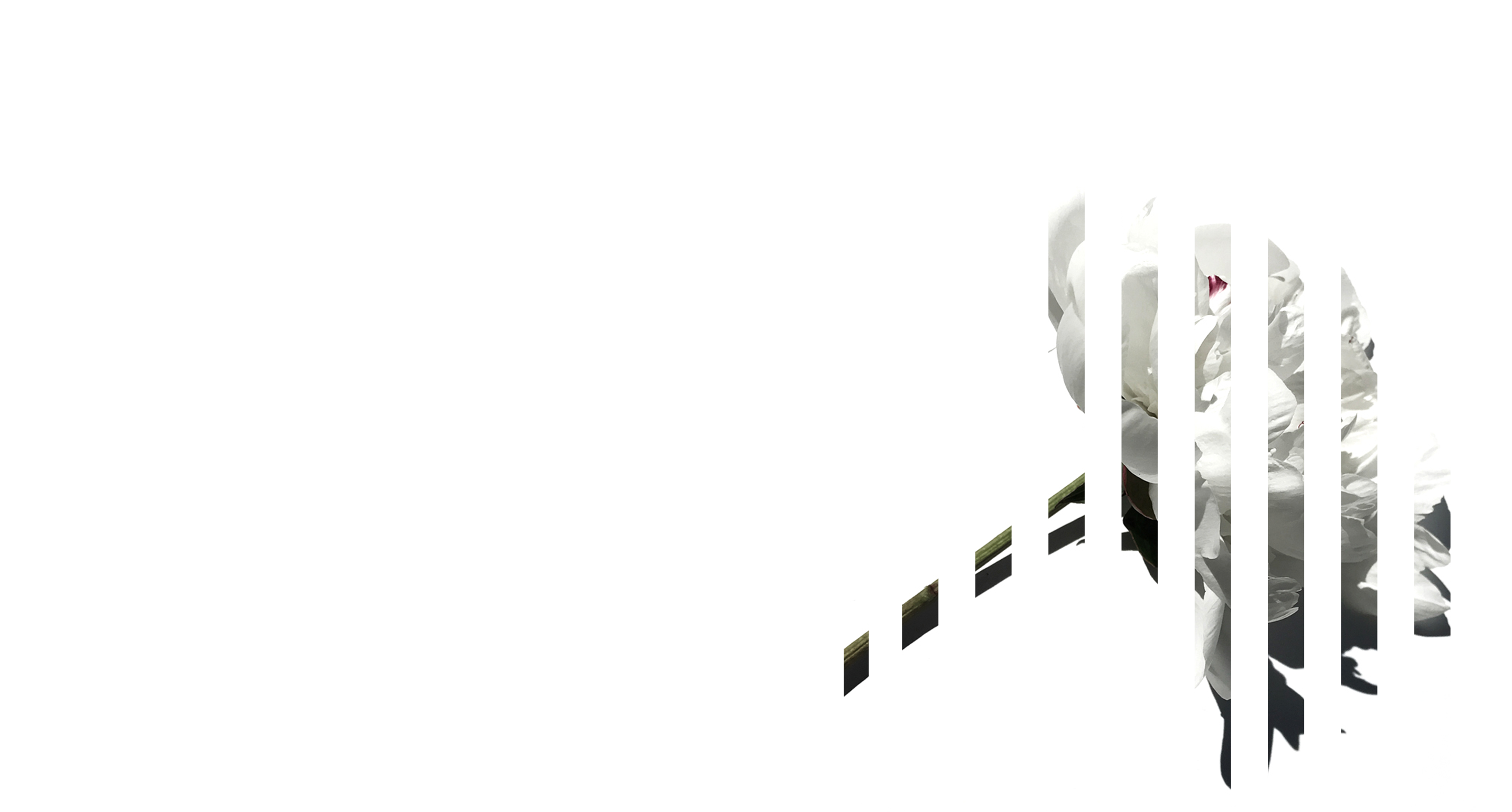 Slide-2-4